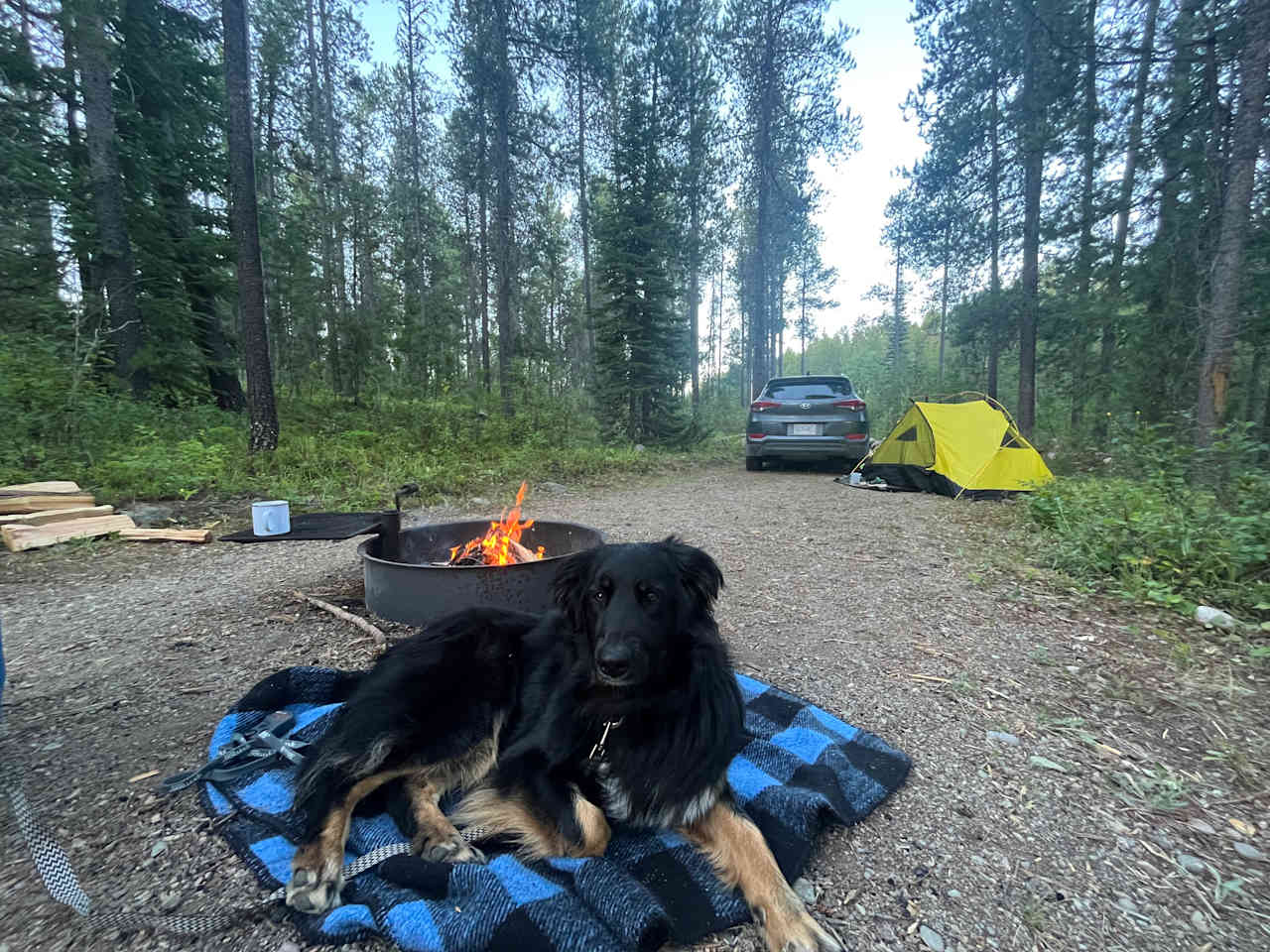 Glacier Park RV