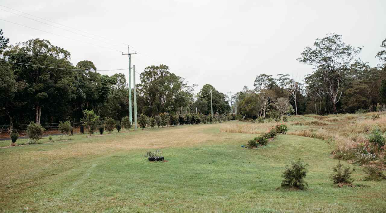 View of te property boundary lined with small trees 