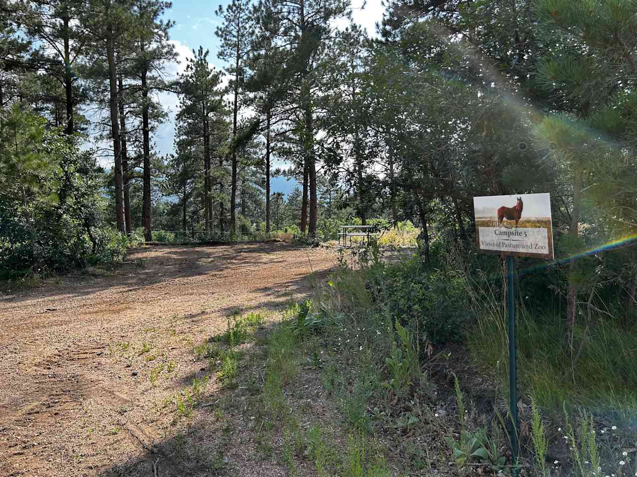 Campsite 5 is on the left side of the driveway approximately 100 yards from the entry. Campsite 5 is between campsites 3 and 6. It is across from the petting zoo where you will see donkeys, goats, chickens, and ducks. We have one rooster in the petting zoo so you won't need to bring your alarm clock. Lol