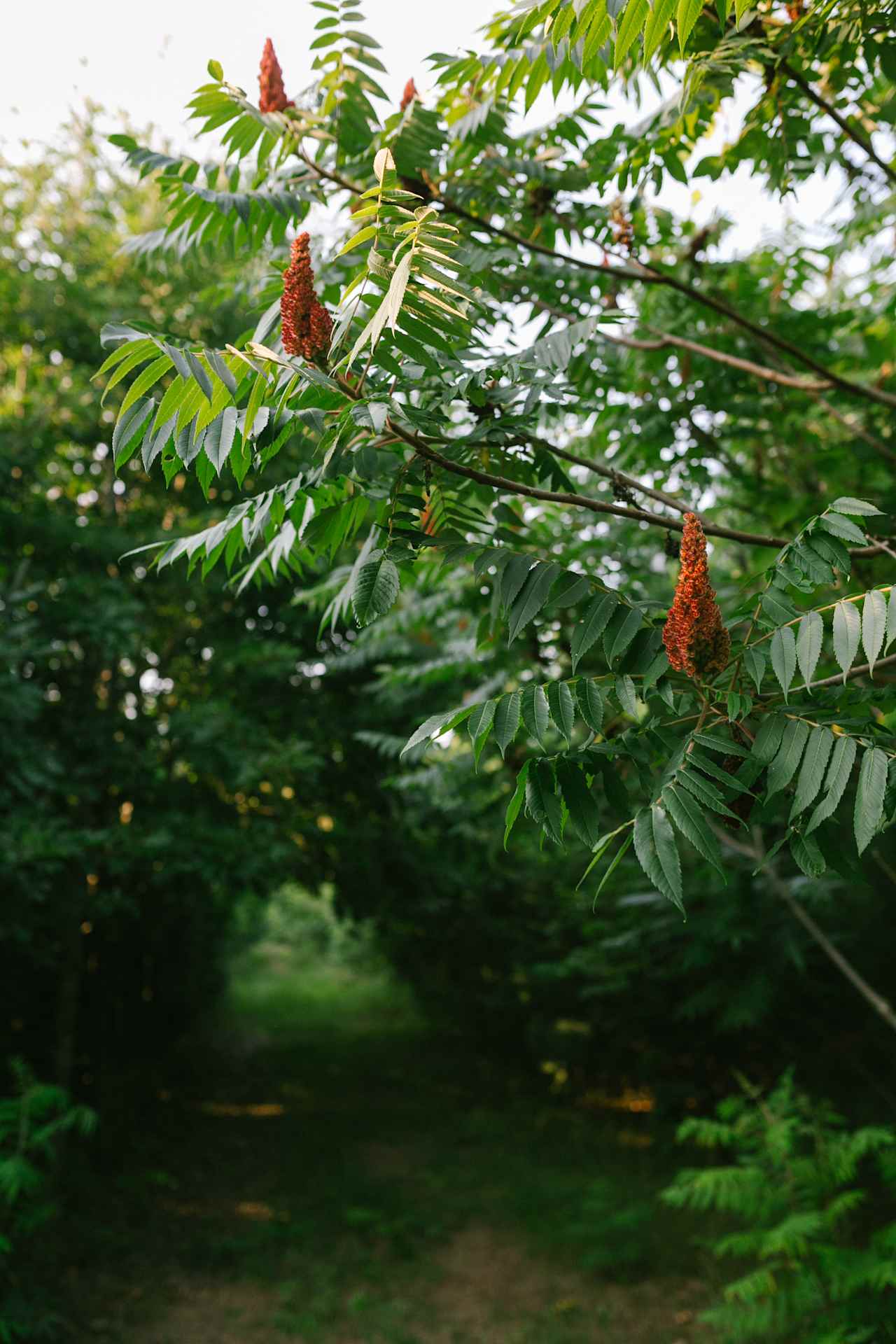 Lots of local flora and fauna to take in.