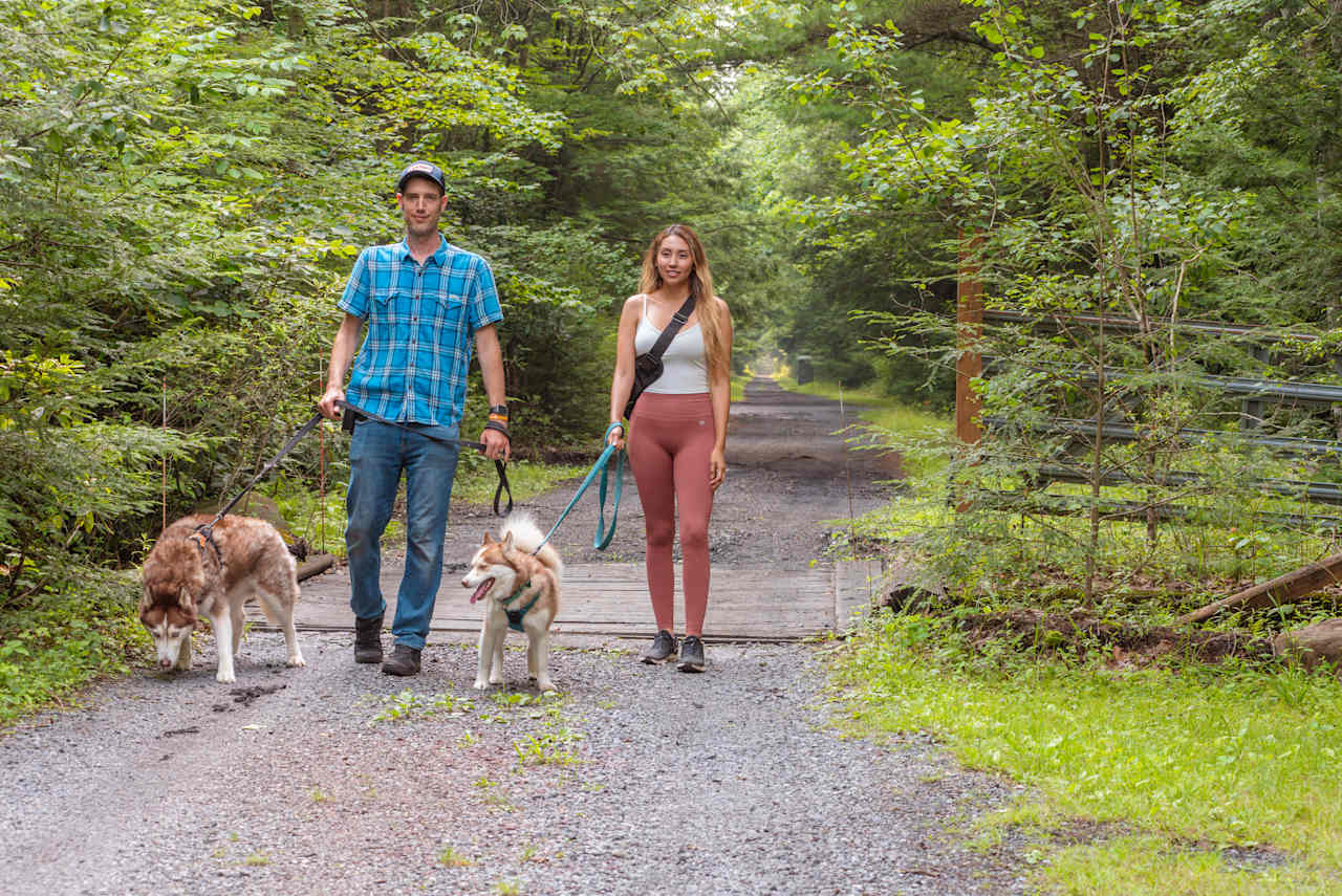 The long entrance road provides a nice place to take your pups for a sniff.