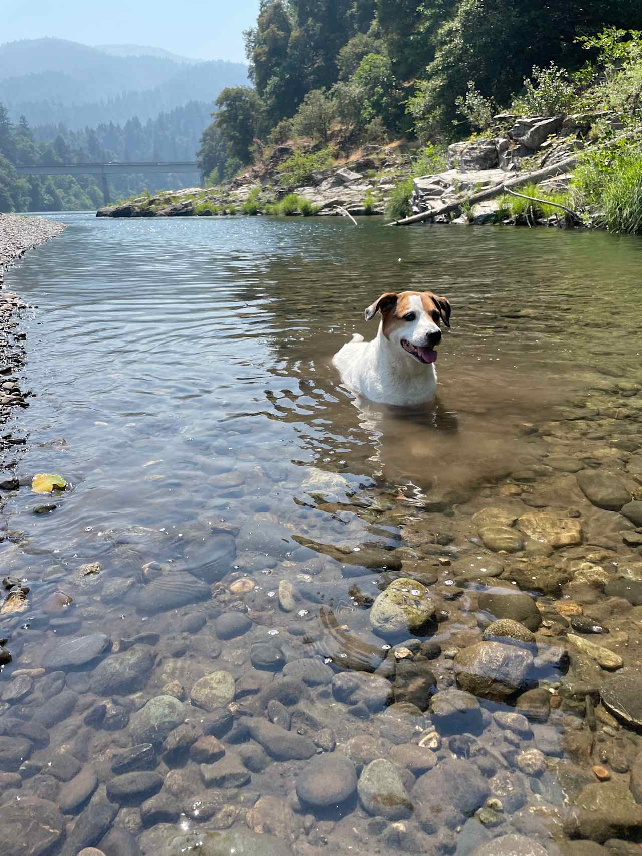 Private lagoon 