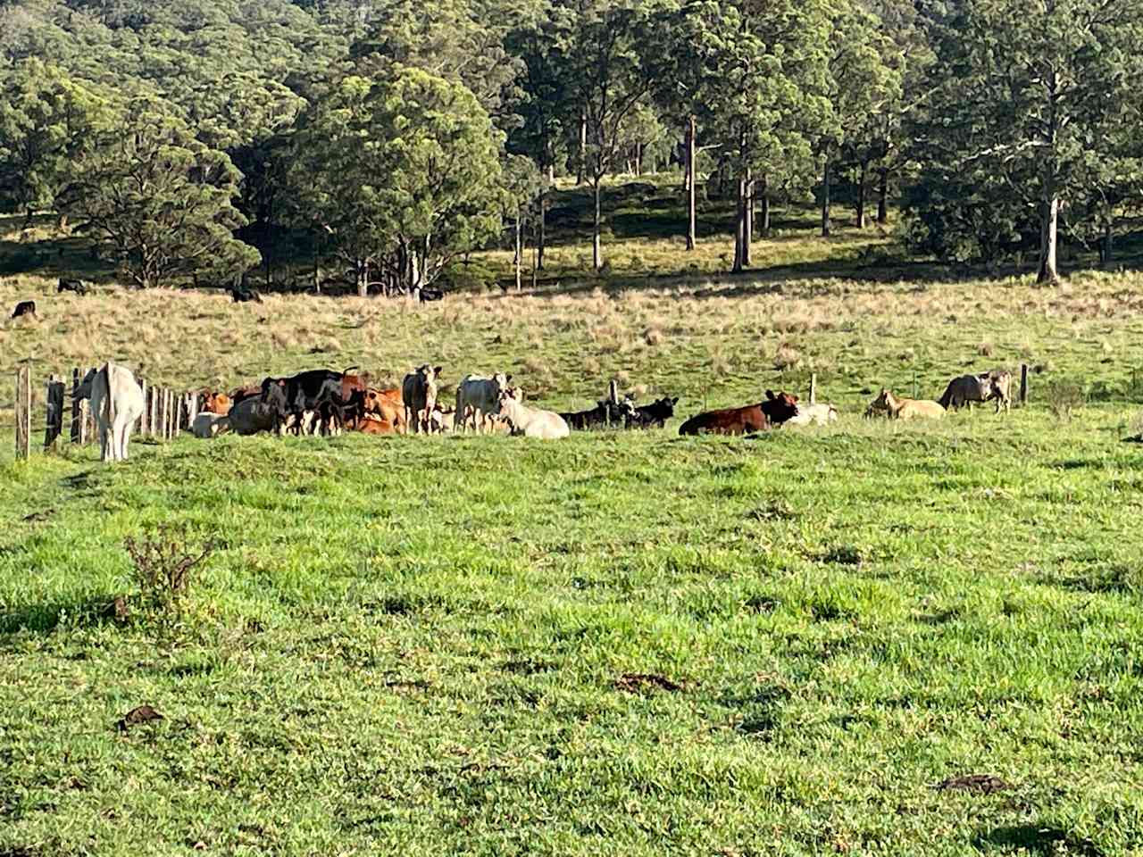 Wingfield Farm