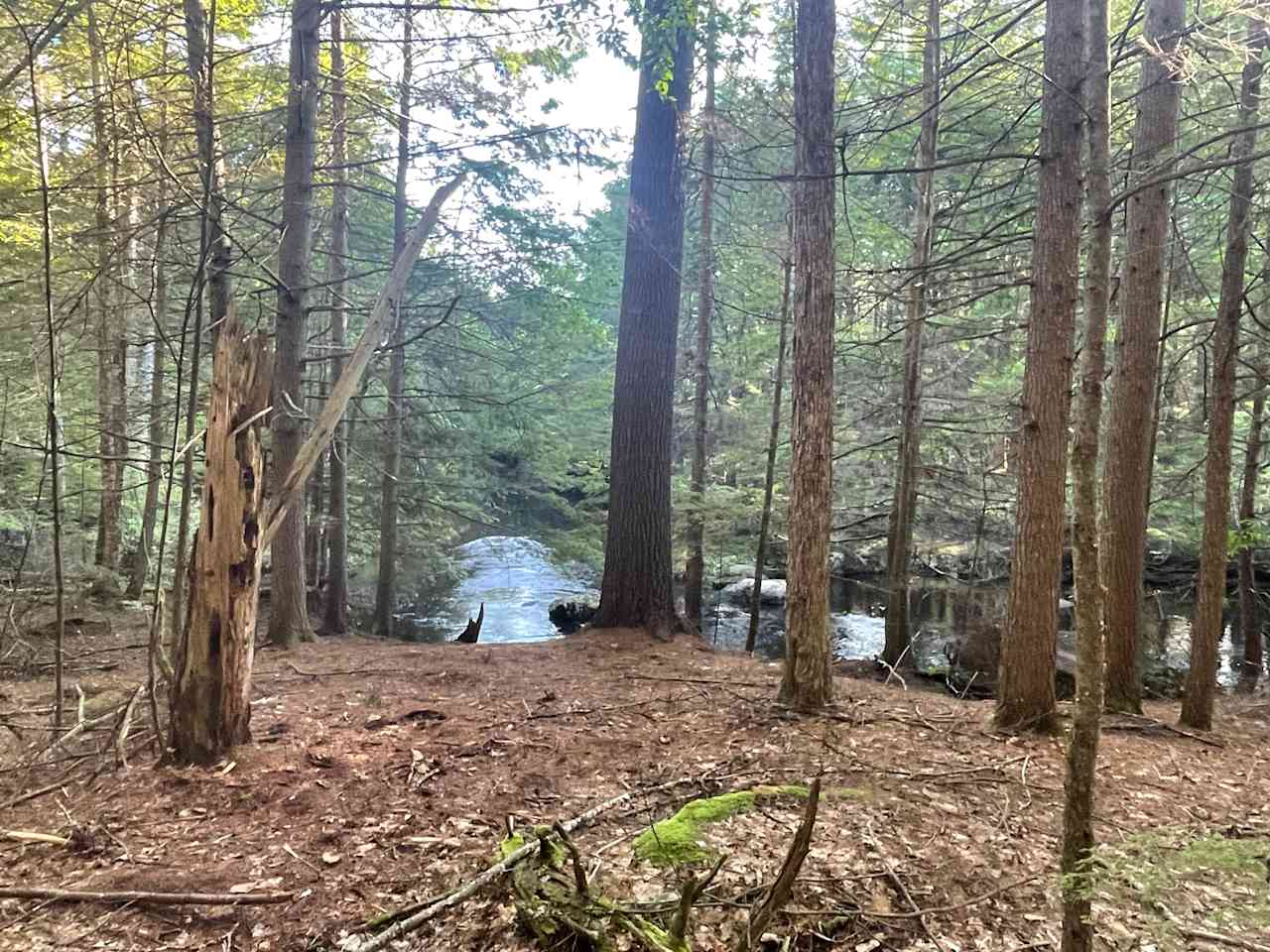 Confluence campsite. The most remote of the campsites. This campsite has the stream running by it on the left meeting up with Beard Brook in front. 