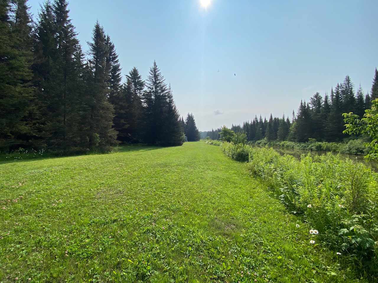 Boreal Wilderness Retreat