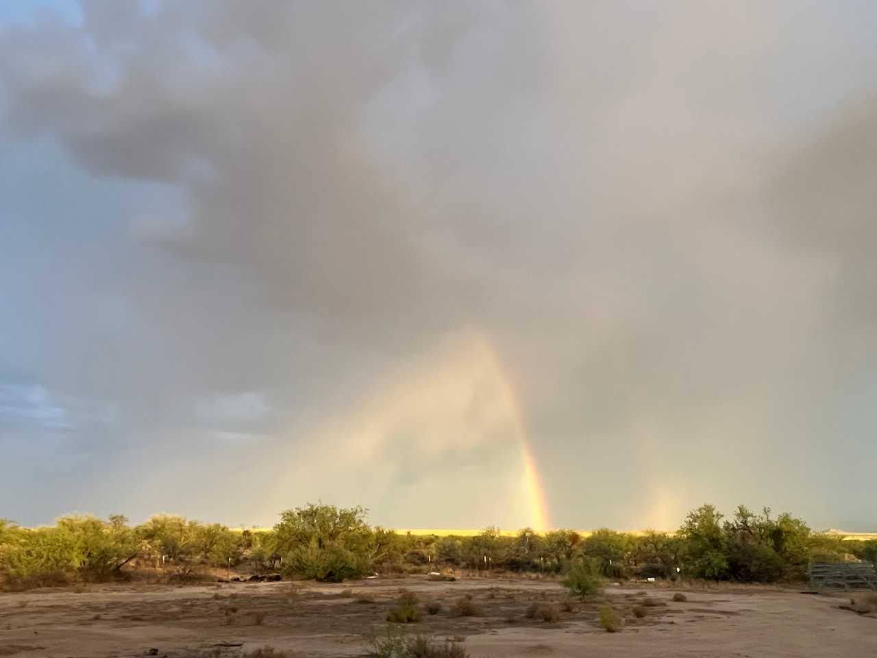 Hackberry wash