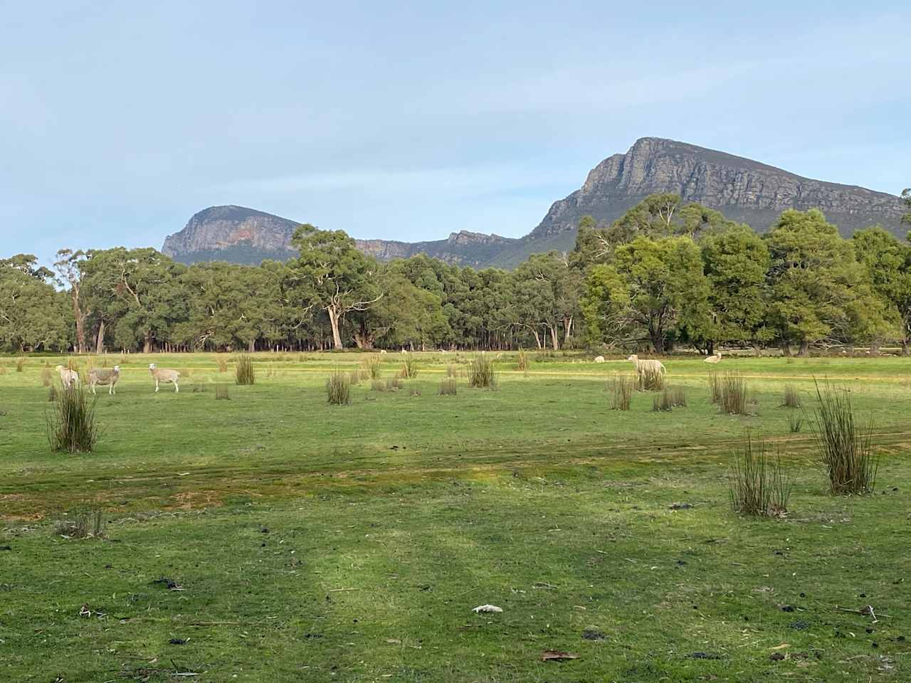 Wannon River Farm