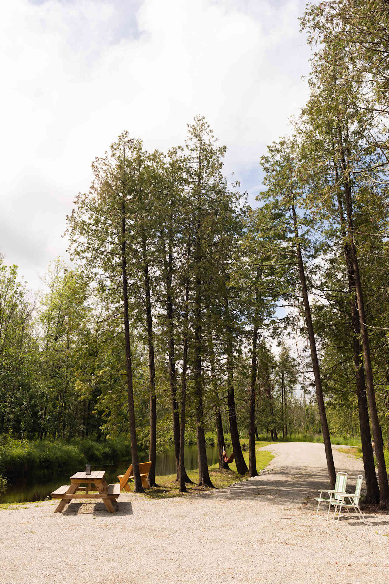 Site overview. Benches, chairs, picnic tables, hammock provided by host