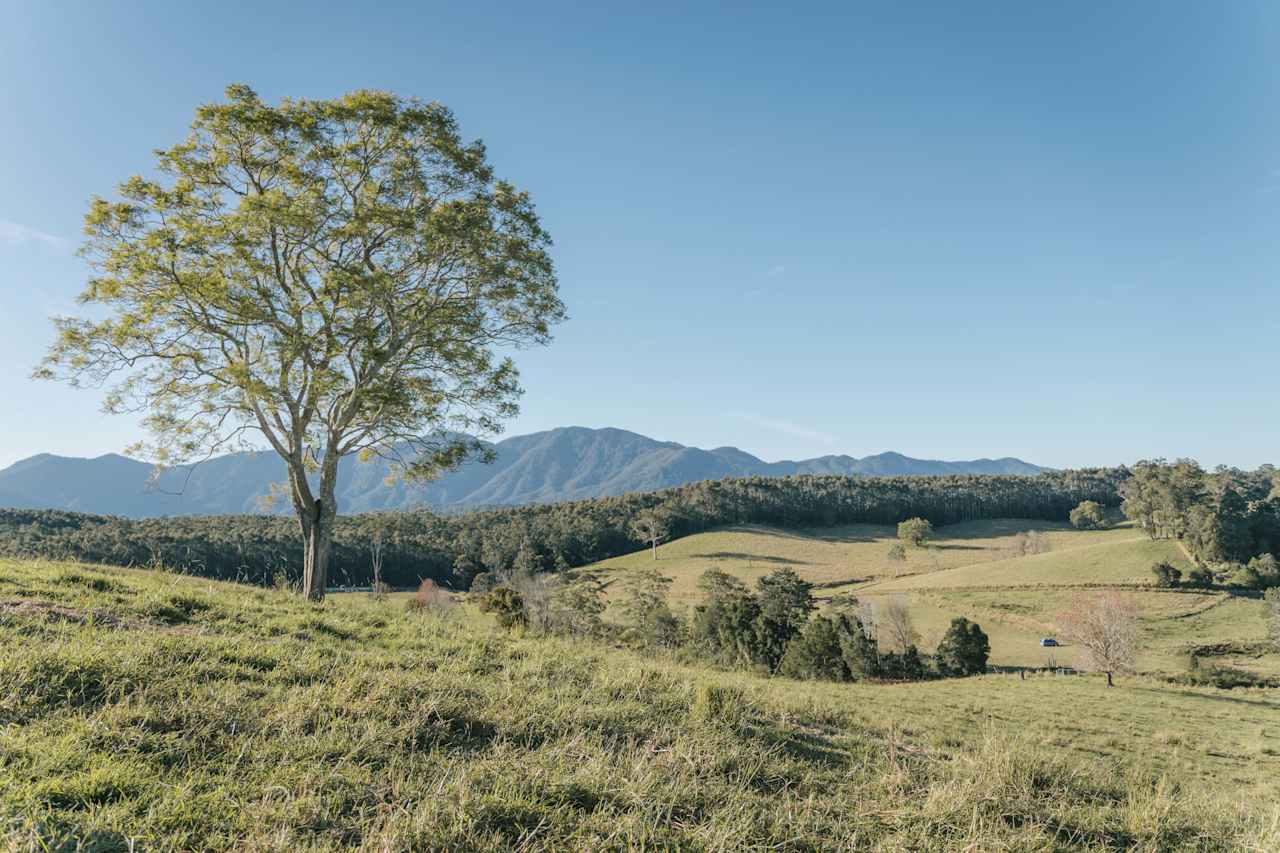 Levenvale Farm in Bellingen