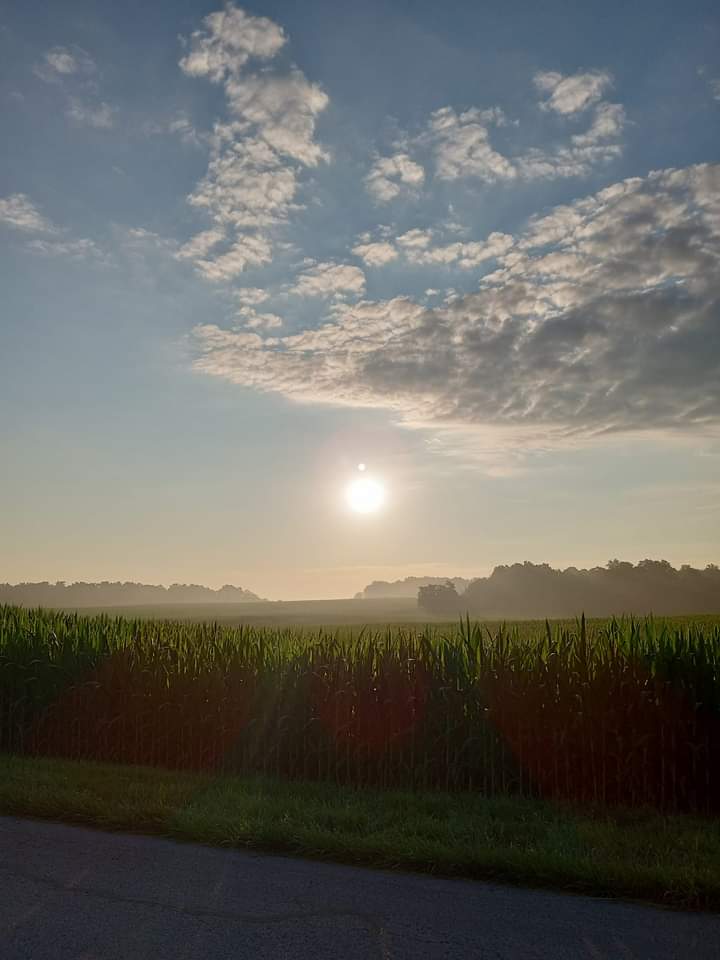 This photo was taken on my morning bike ride down the street