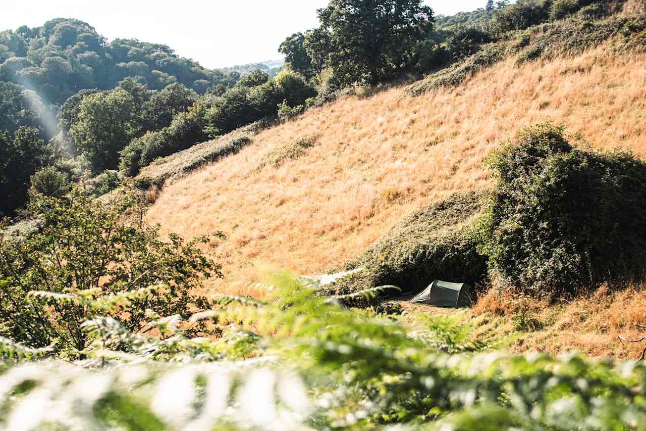 View showing how private and tucked away the tent pitches are! 