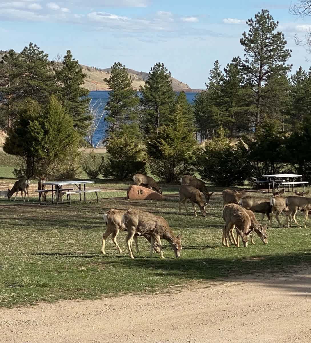 North Shore RV Park & General Store