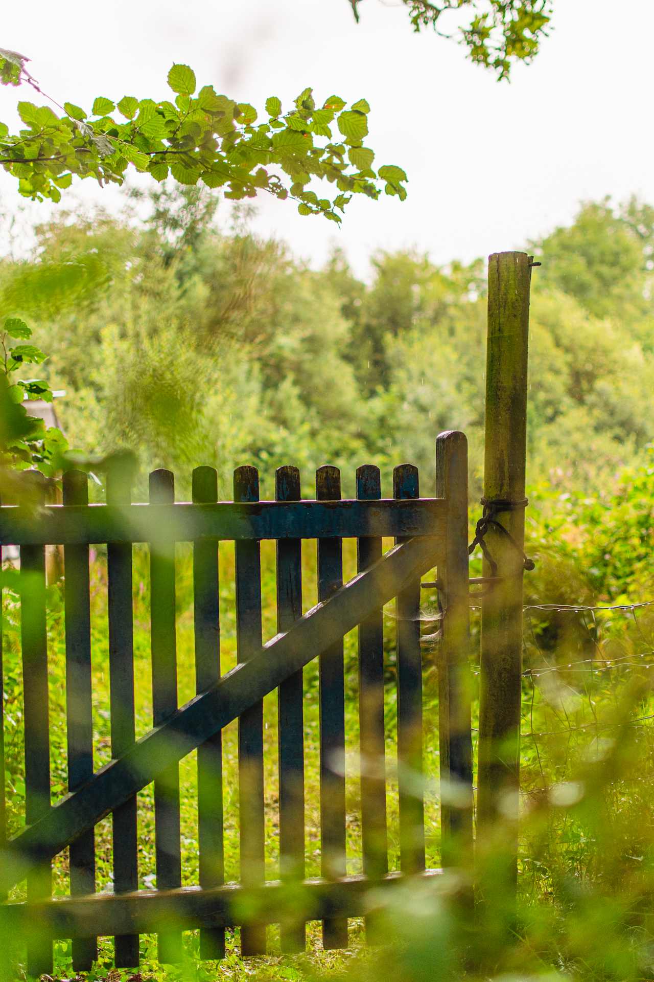 An inviting front entrance gate to Elmar's Place