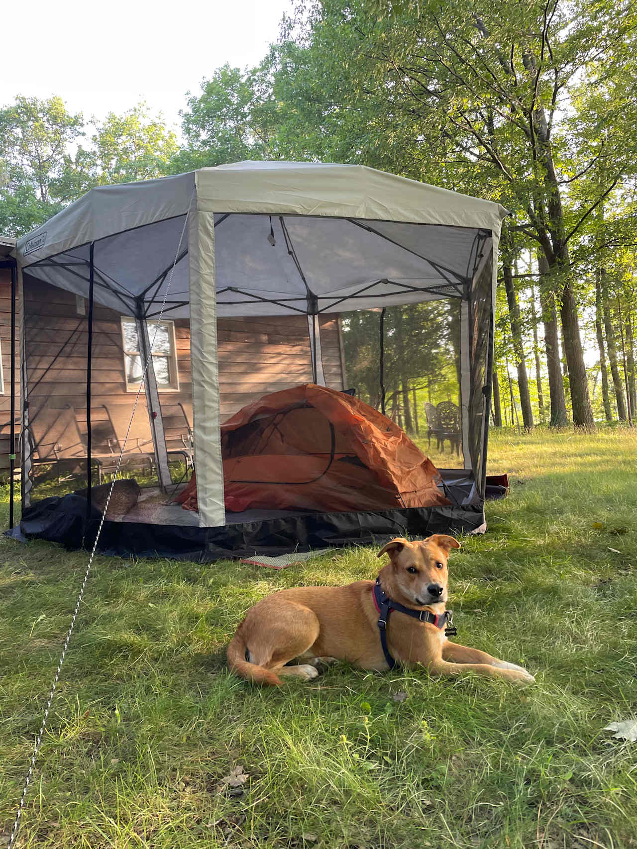 Screen gazebo (behind garage) made a nice shelter for our Tent