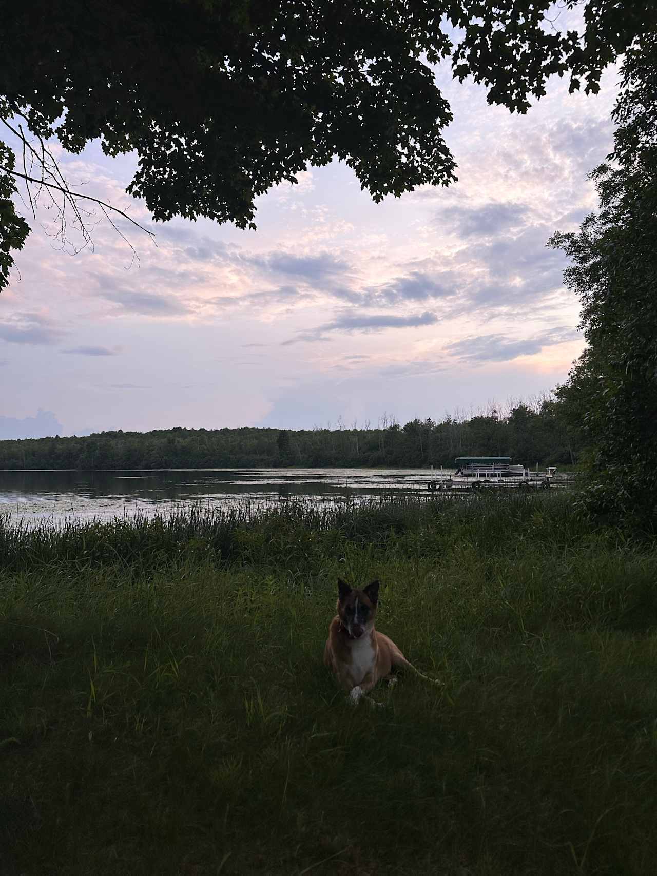 Butternut Lake Camping