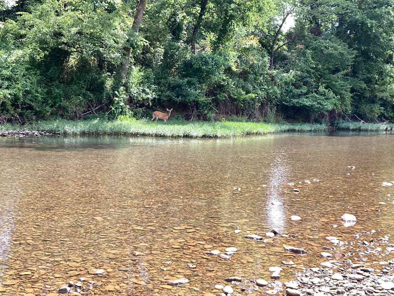 Walking down the White River just west of town.