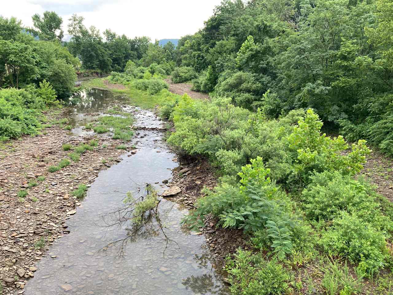 The river is home to beavers, river otters, bald eagles, kingfishers and many other birds and animals