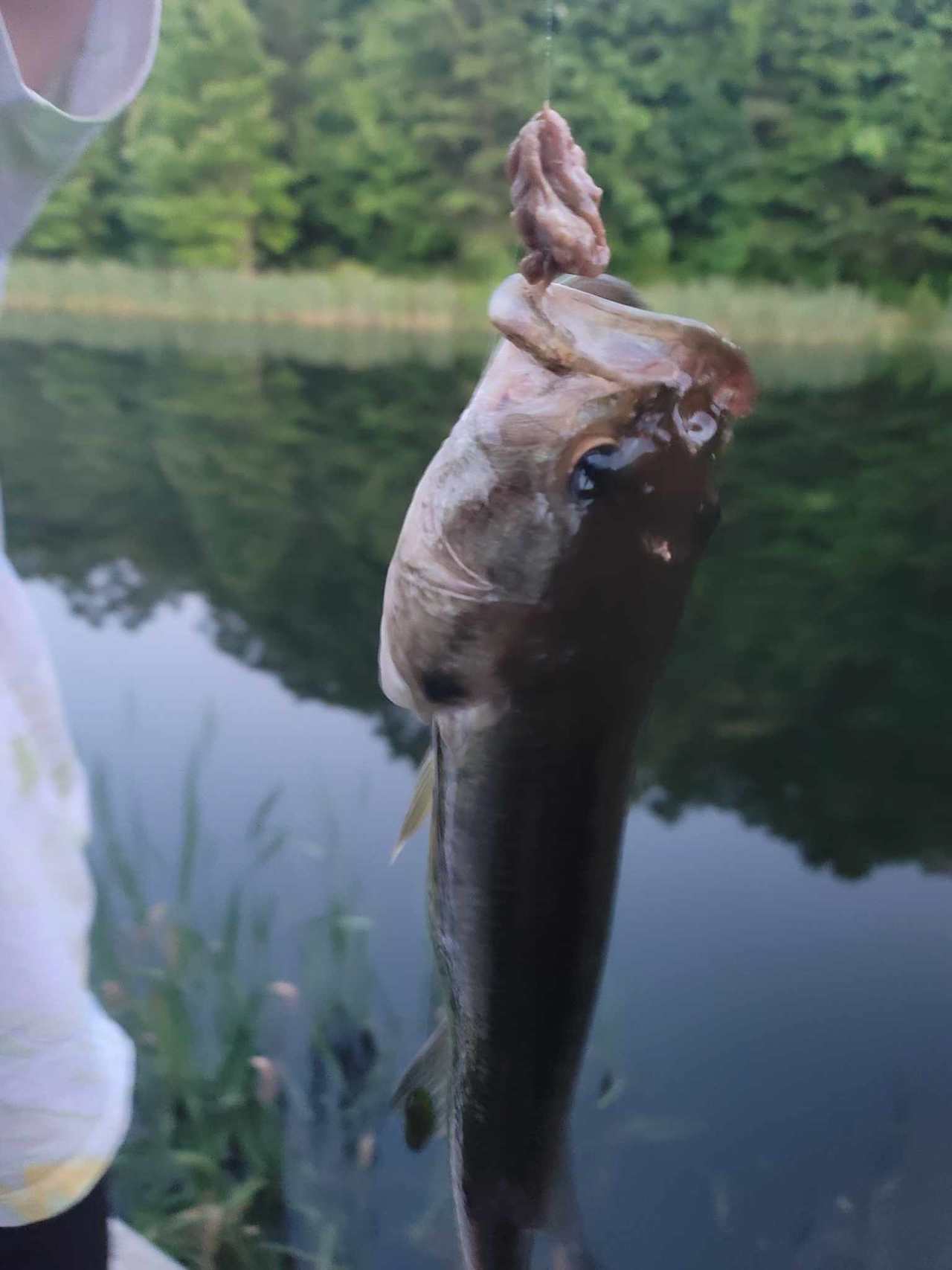 The Harrican Lakehouse