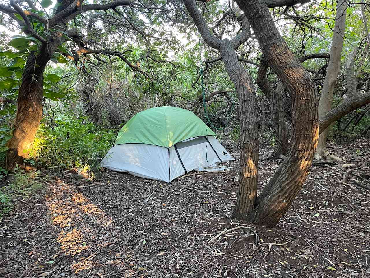 Haiku Farm & Campground