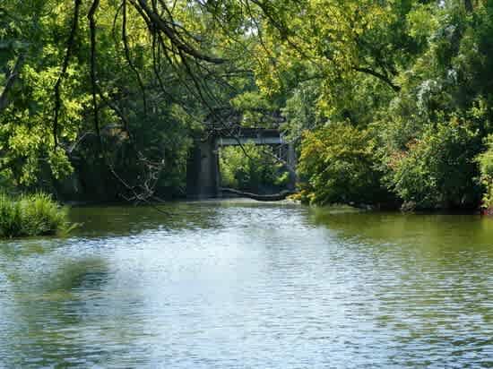 The Grove at Fort Parker