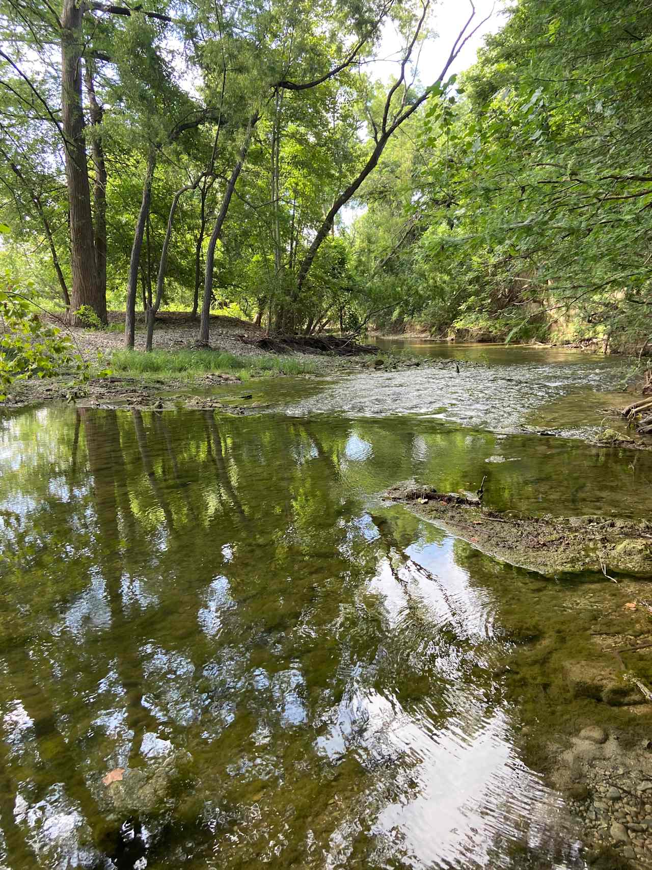 Medina River