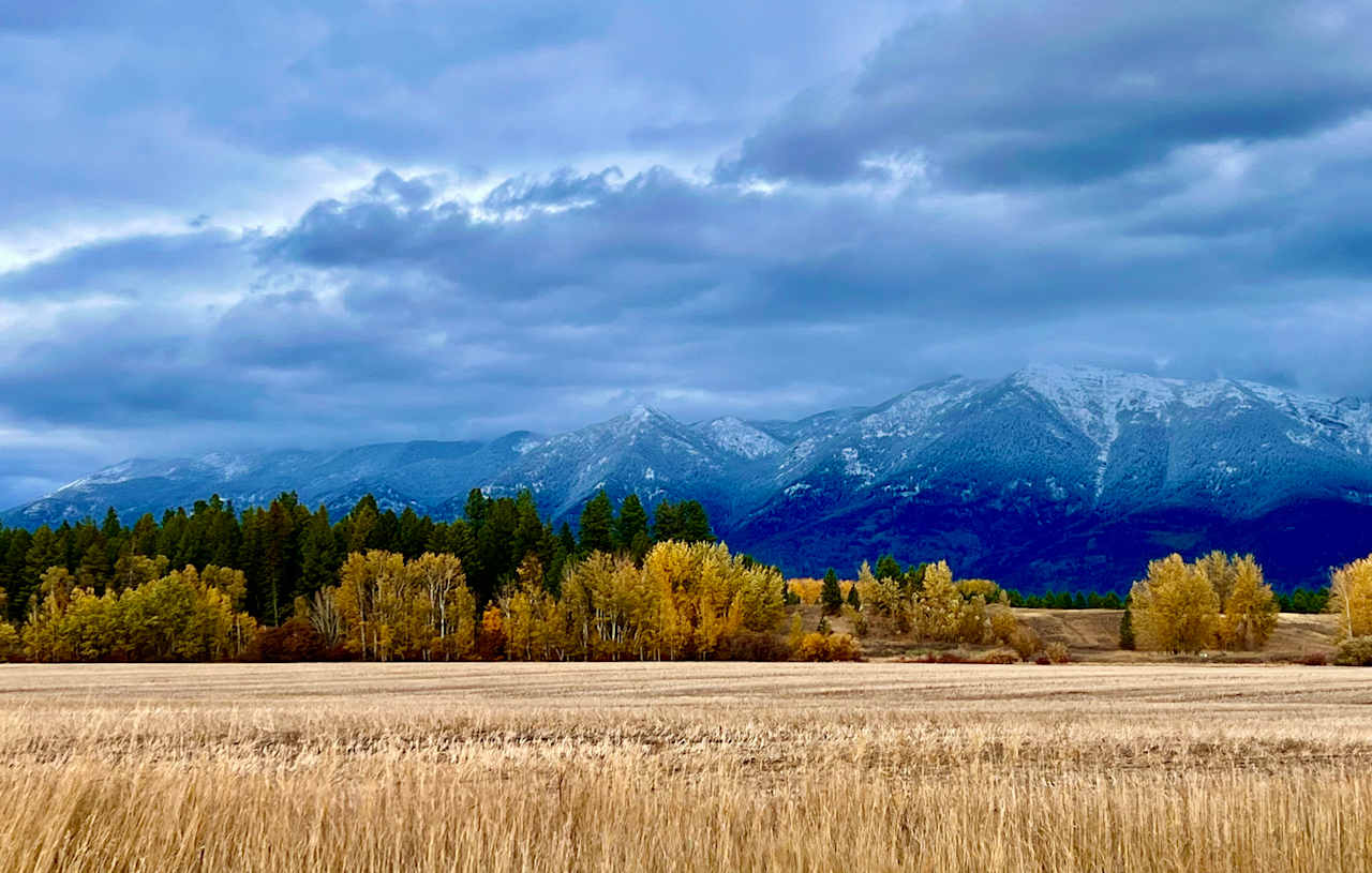 View to the North from the property