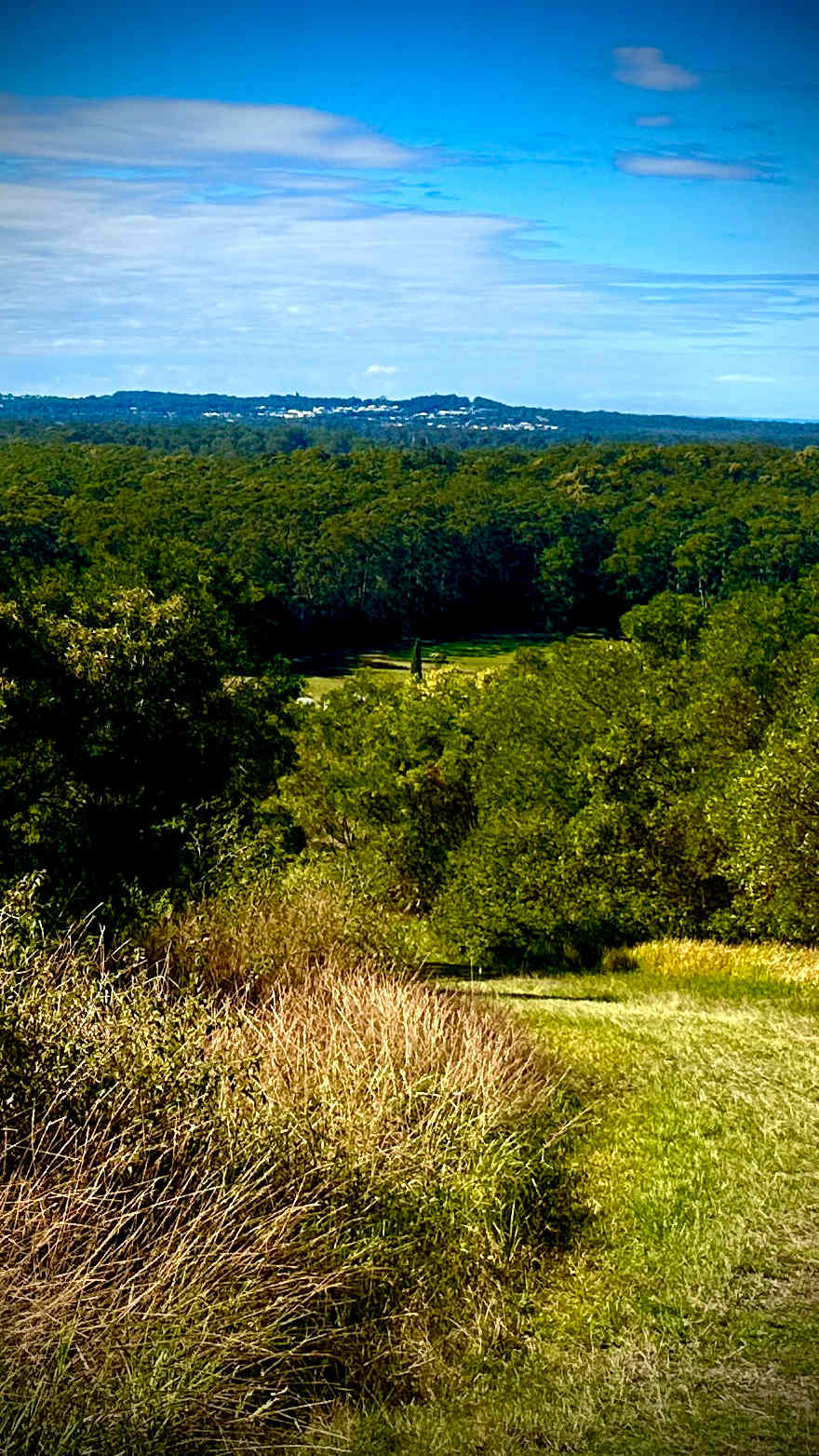 Beautiful mowed walking tracks and camping areas