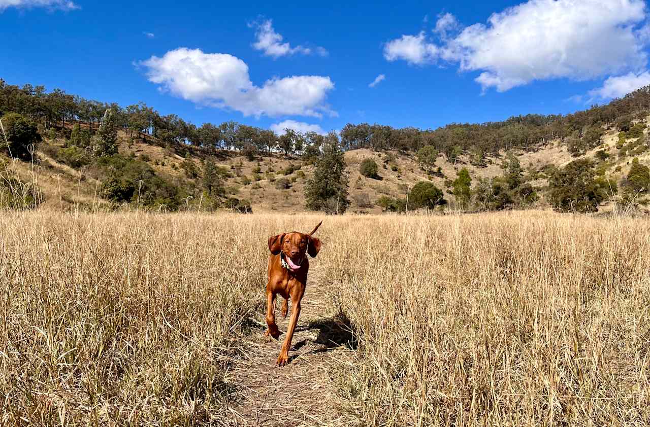 Hopevale Adventure Camping