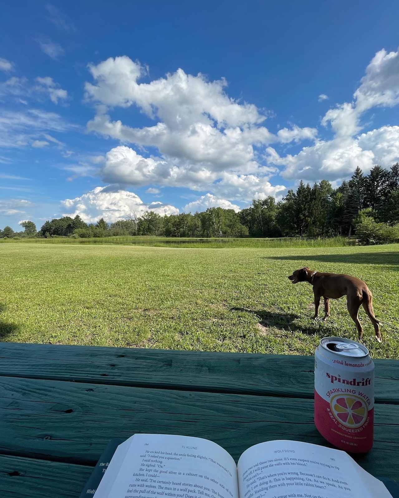 Oak Ridge Farm