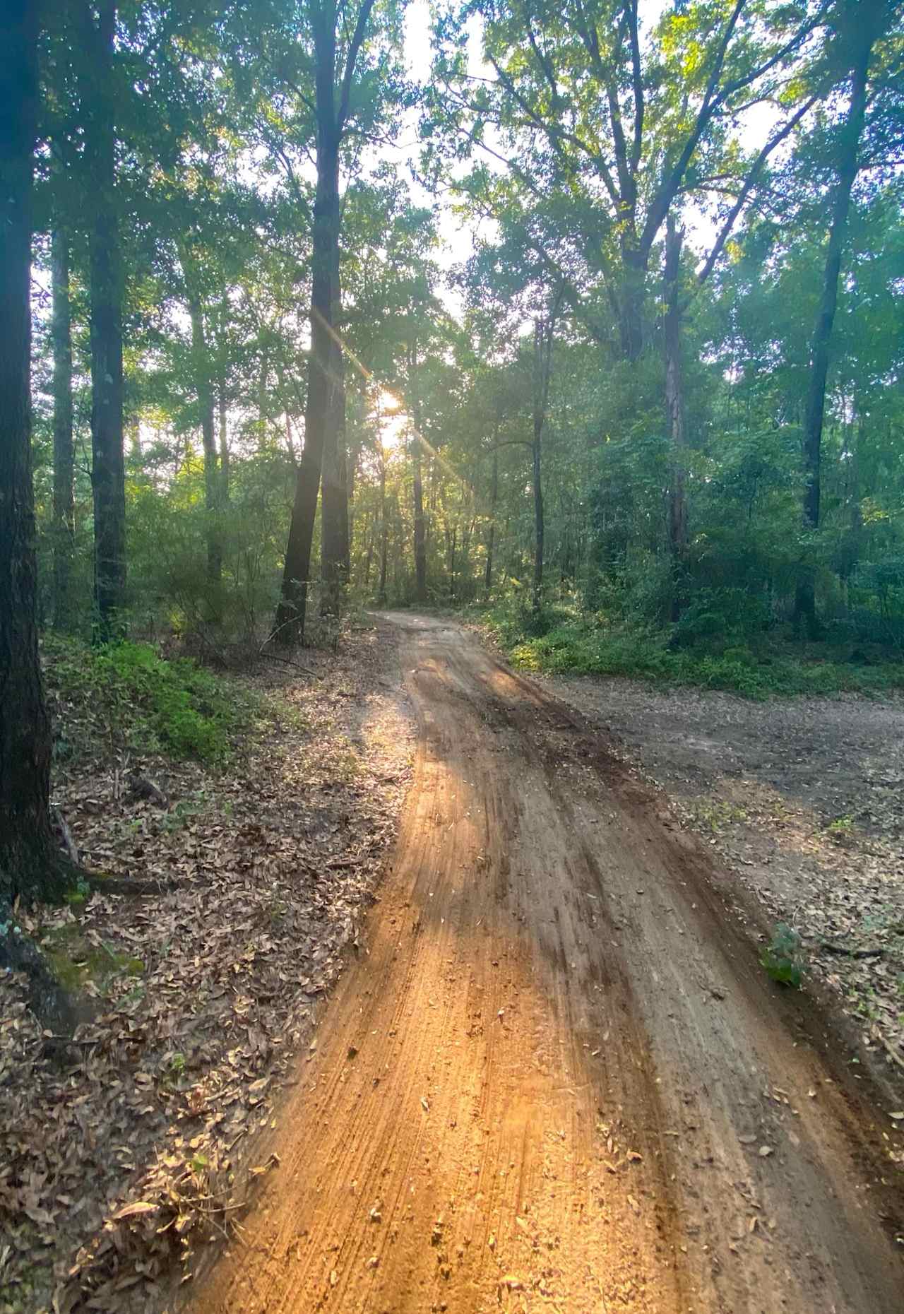 Gateway Trails