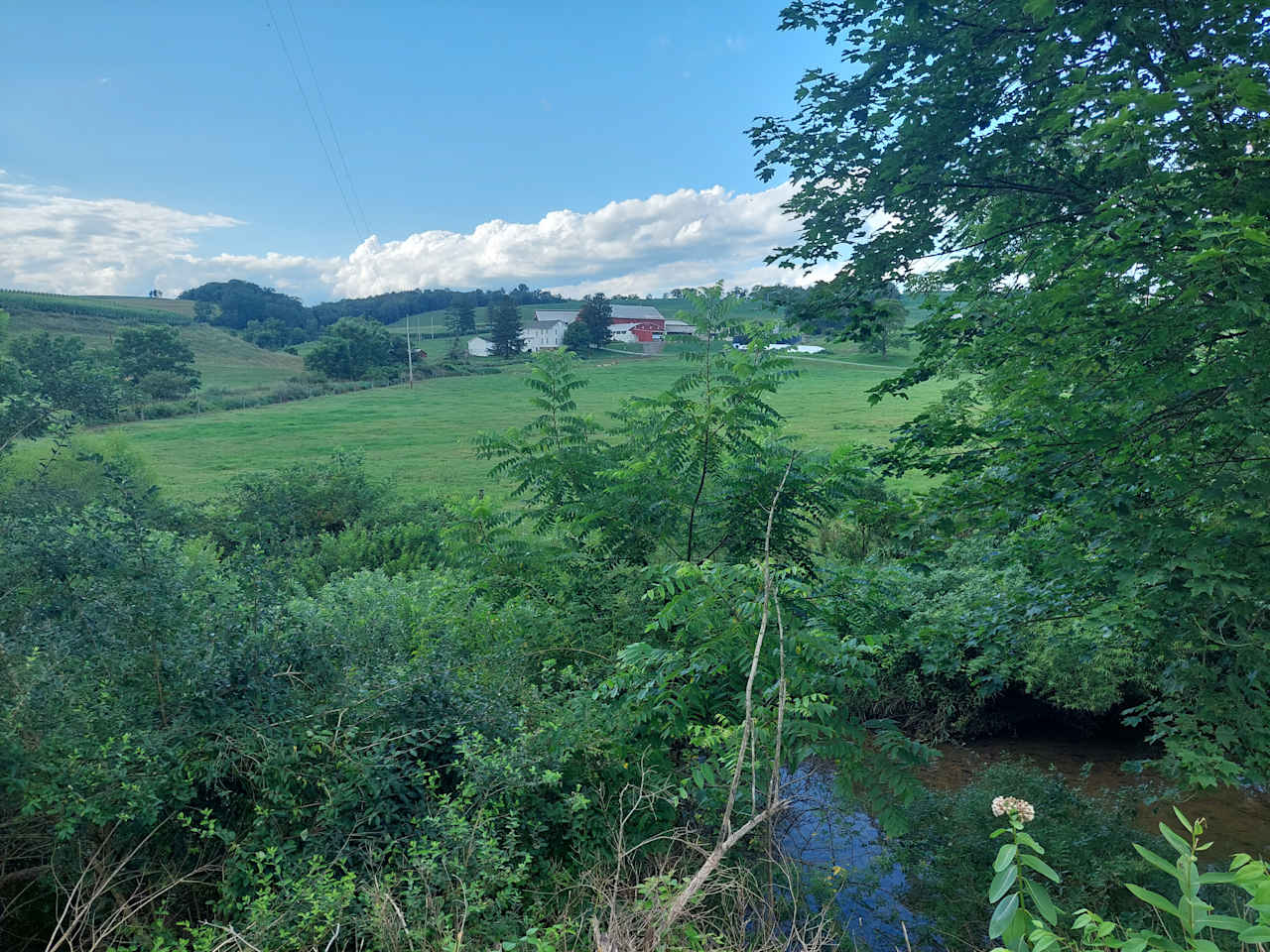 View of farm and pasture