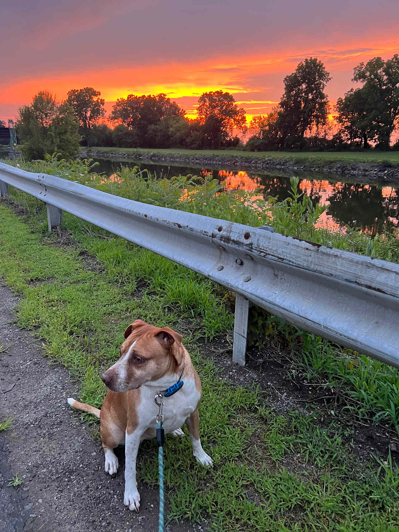 Tomtuga on the Erie Canal