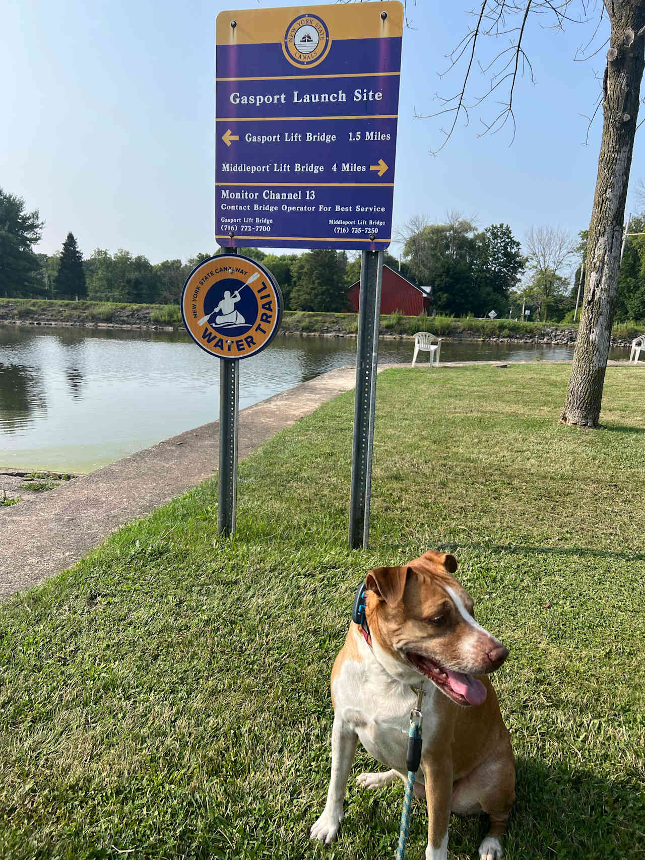 Tomtuga on the Erie Canal