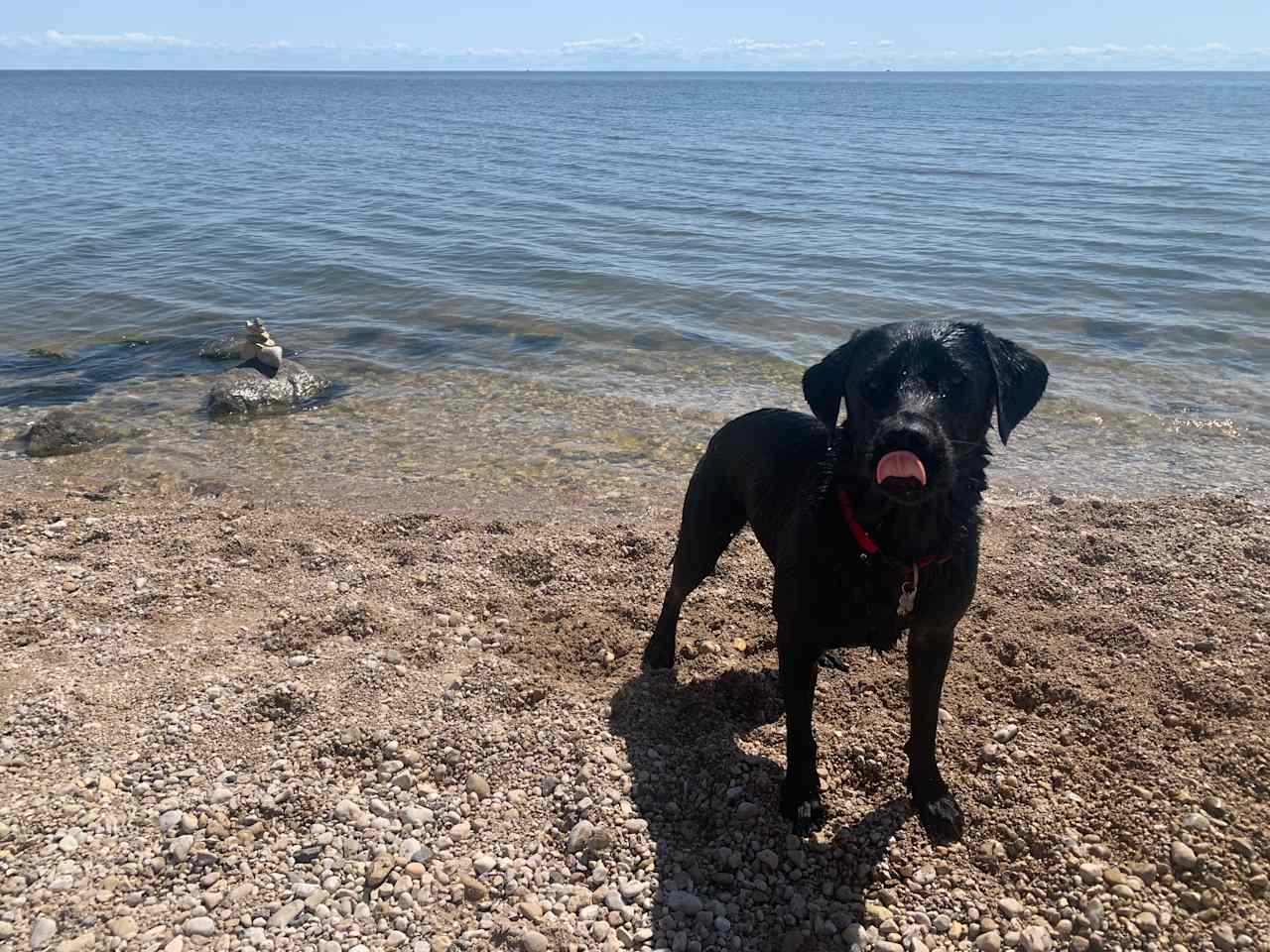 Lake Winnipeg Beachfront Meadow