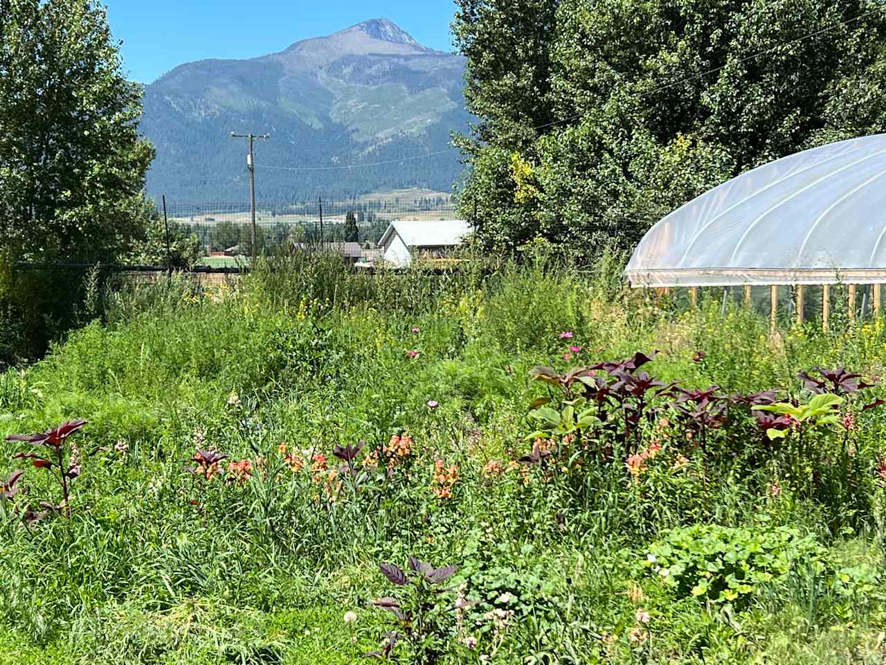 Full Bushel Farm