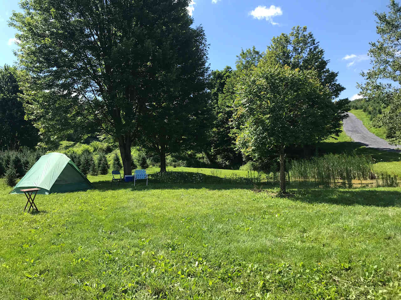 Our campsite. There’s a pond to the right. The host also brought us a fire pit and split kindling for us :)