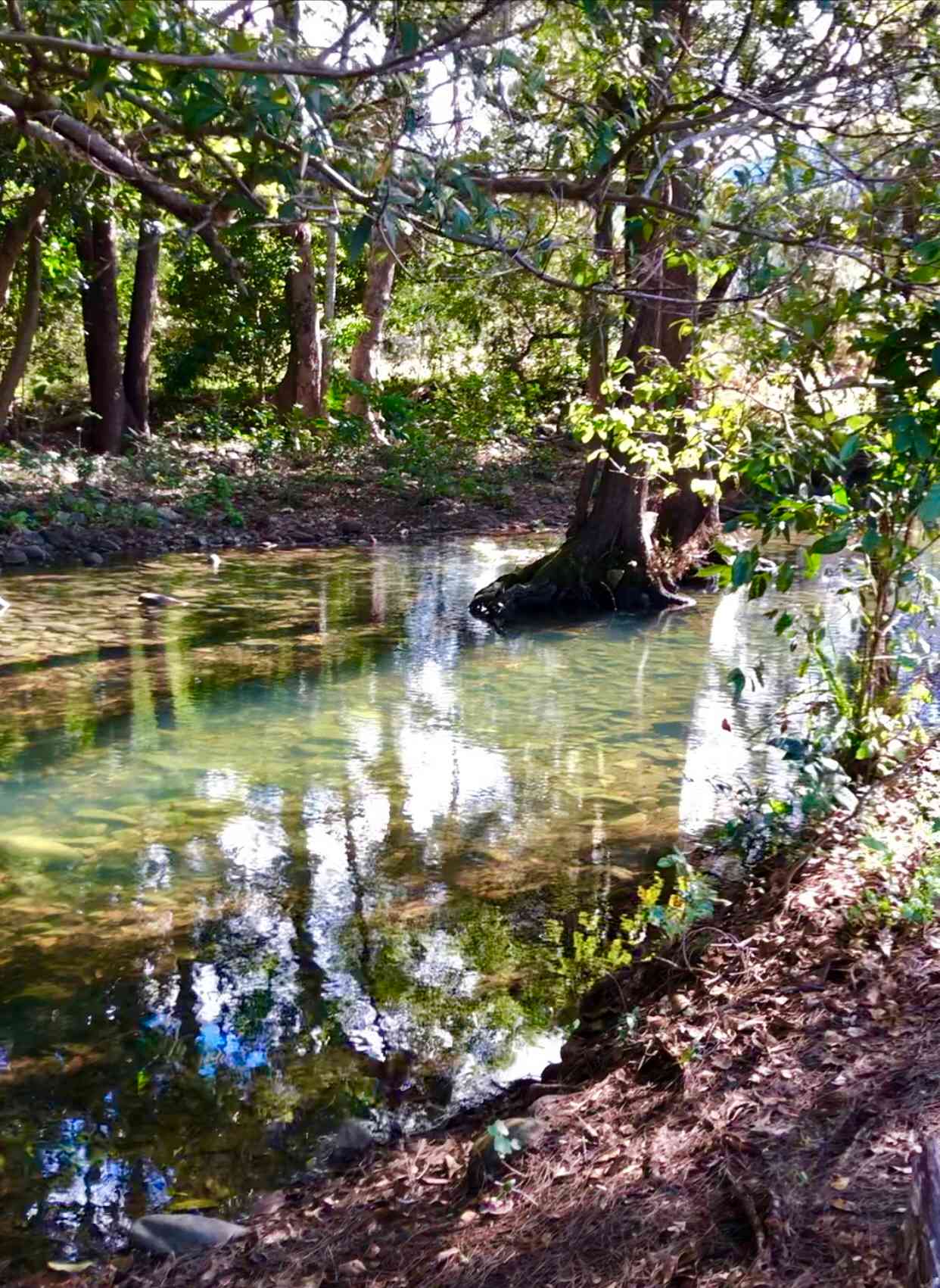 Blue Tree Campground