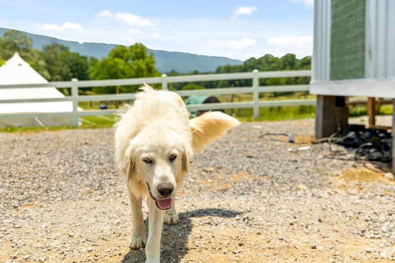 Quail Run Farm