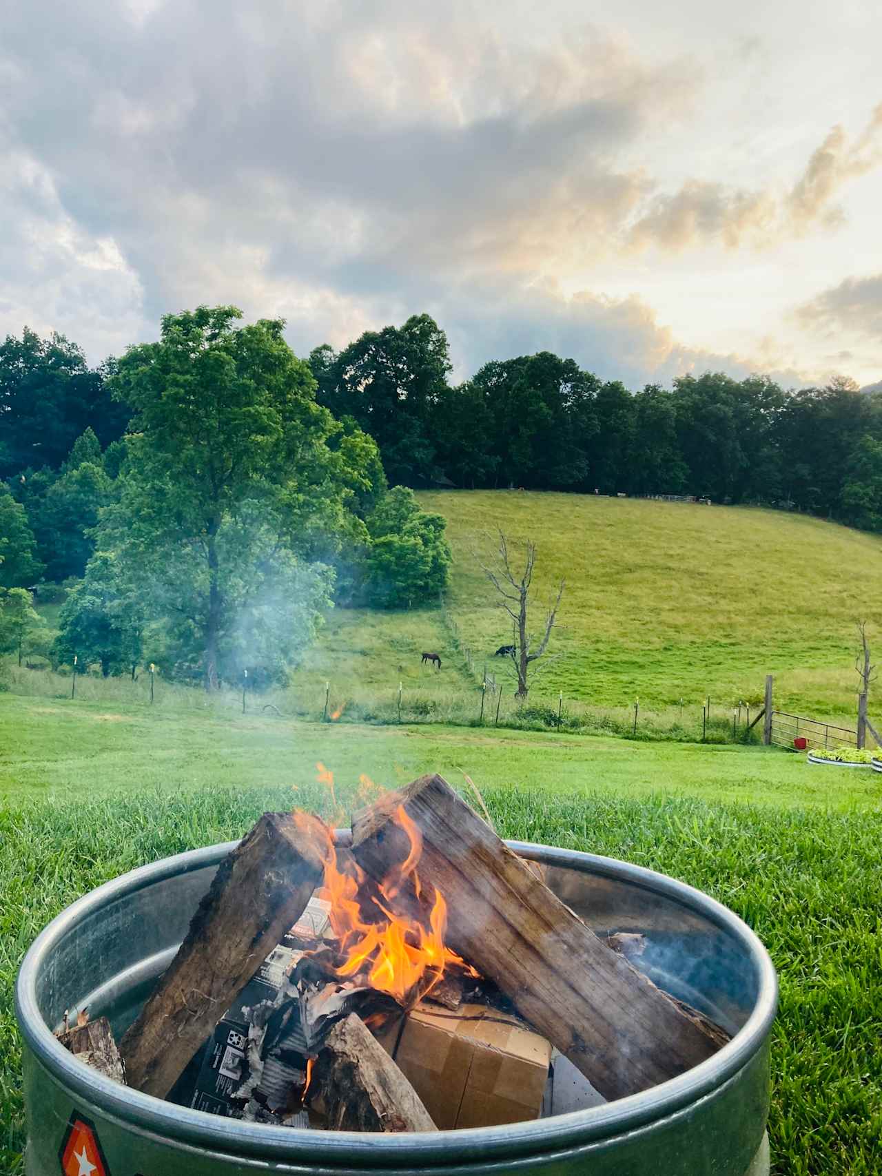 Rock Cottage Farm