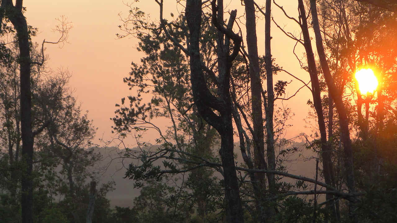 Sunrise over the marsh