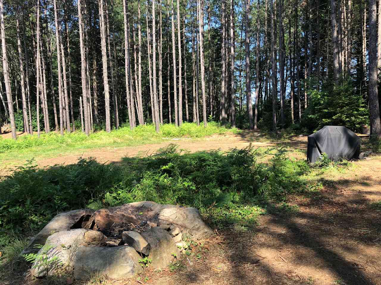 Level RV camp site with BBQ and fire pit. Beaver pond beyond BBQ below a gentle hill. 