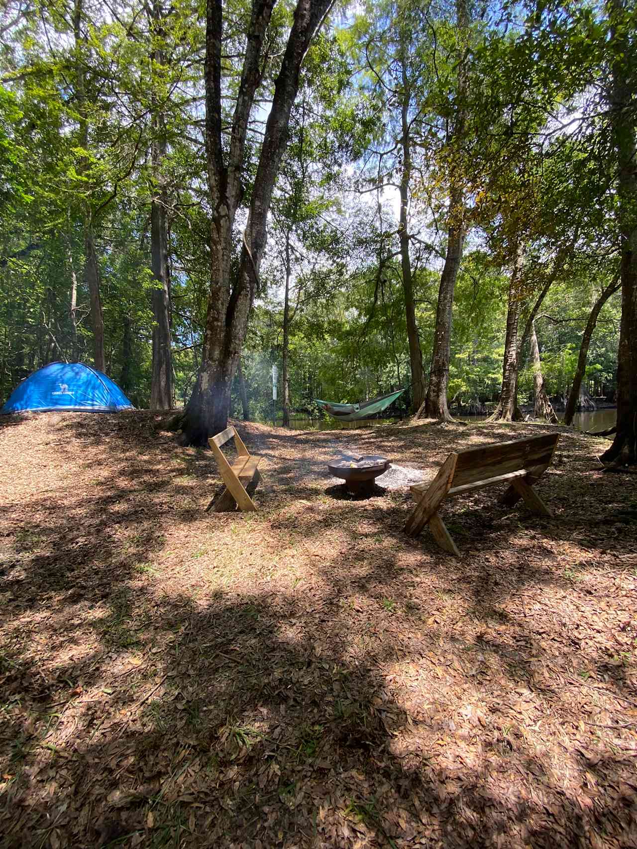 Primitive Island on Withlacoochee