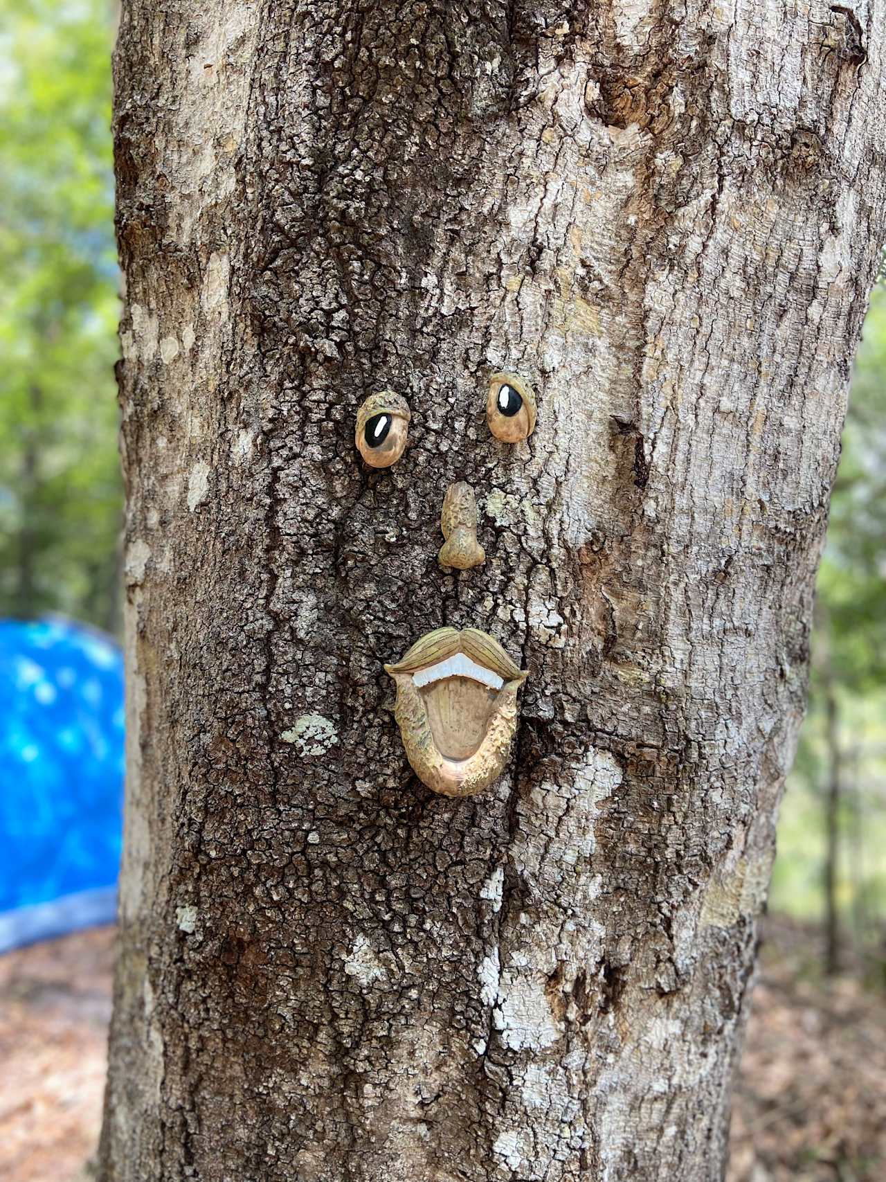 Primitive Island on Withlacoochee