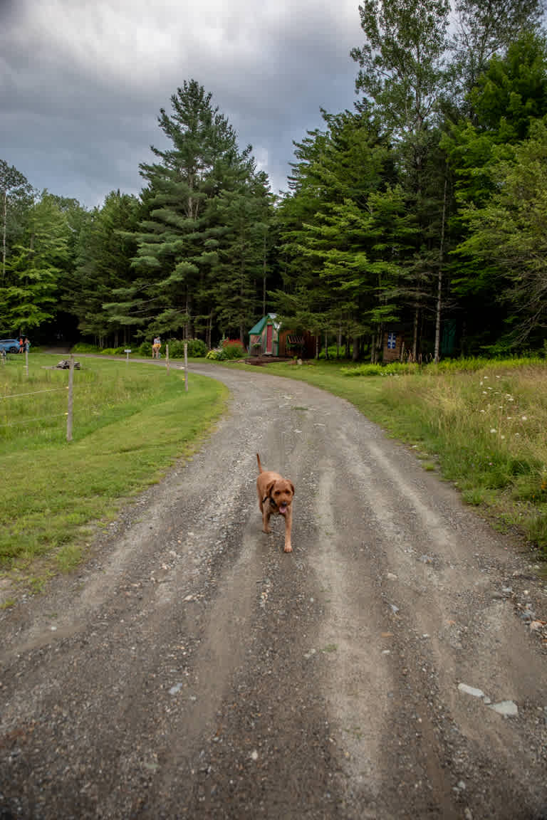 Road to the cabin