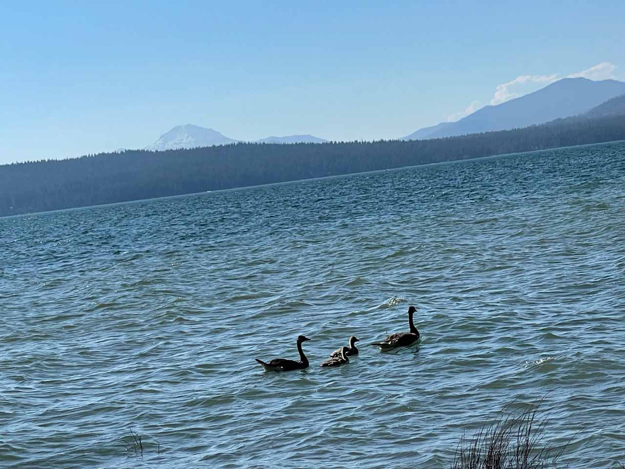 TURNER BEACH AT LAKE ALMANOR