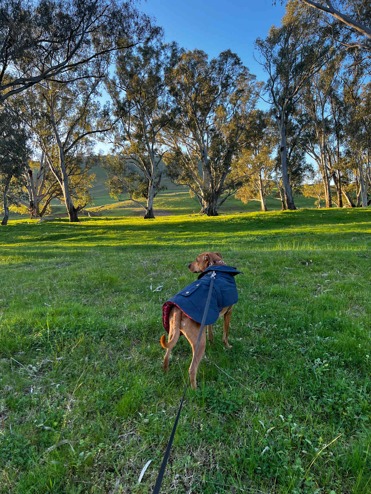 Riverview on the Murrumbidgee