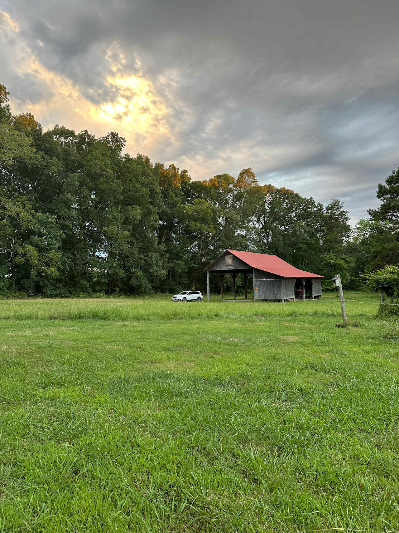 Barn structure, looking from the garden