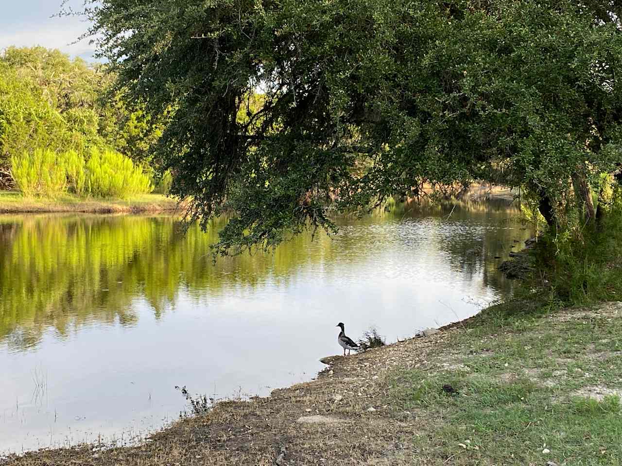 Longhorn Getaway Campgrounds