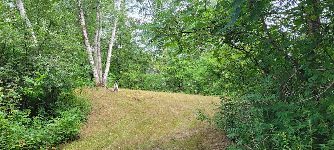 Lake Tommy Homestead