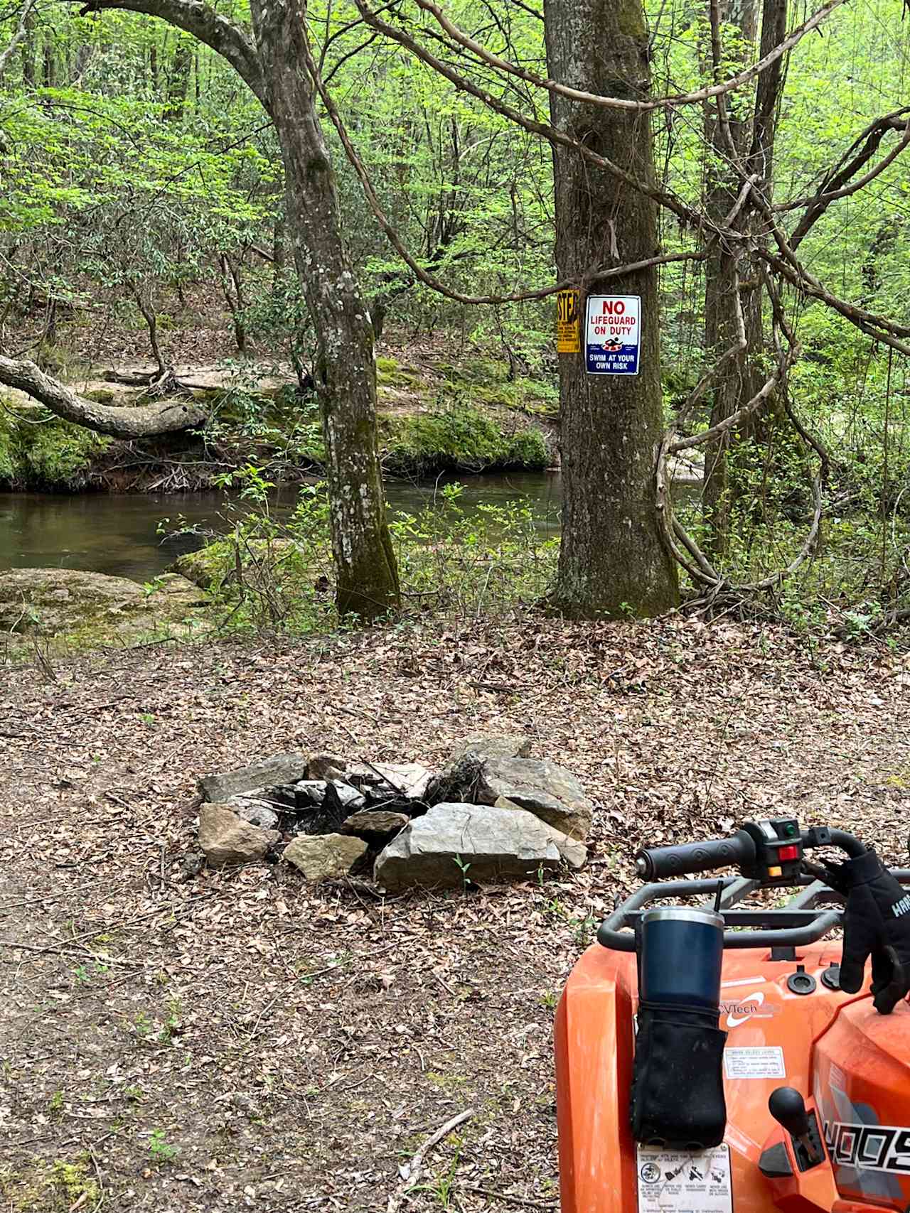 The swimming hole